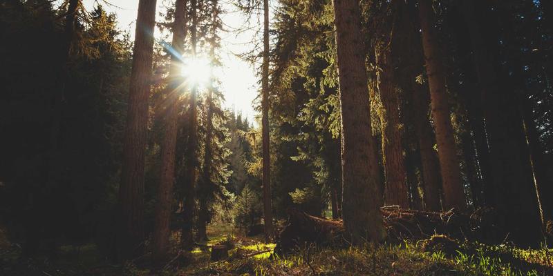 从书页到生活:5本法国文学杰作教你如何活出巴黎风情与法式艺术