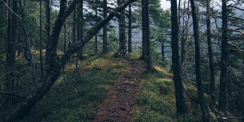 巴黎咖啡馆露台：一场流动的时尚盛宴与生活艺术