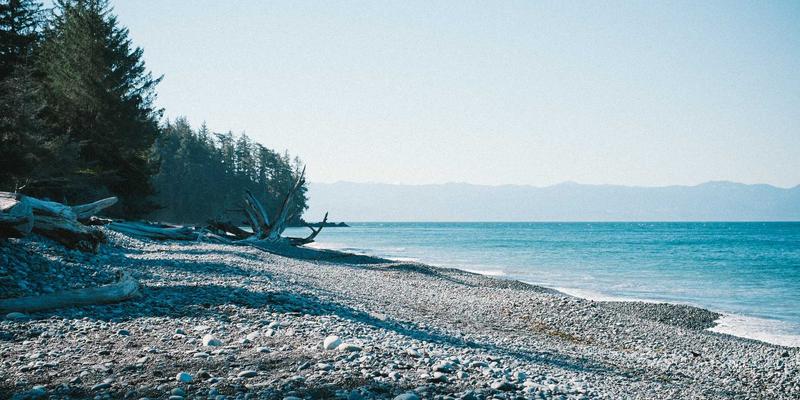 巴黎跳蚤市场寻宝记：解锁绿色时尚与波西米亚生活艺术的终极攻略