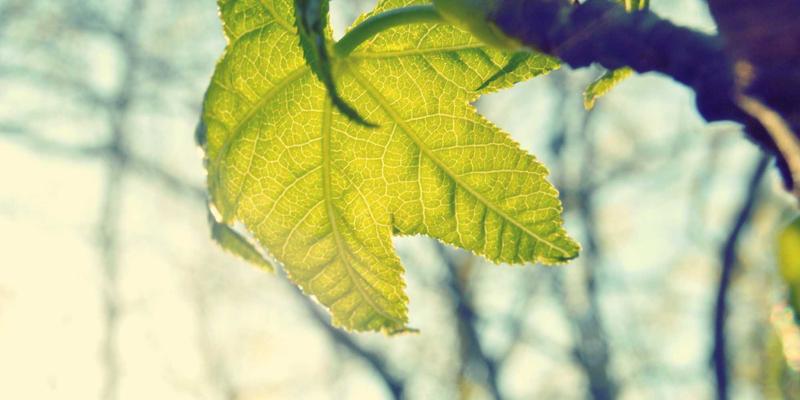 法式夏日哲学：向巴黎人学习如何用时尚艺术与慵懒智慧，规划一场真正的生活假期