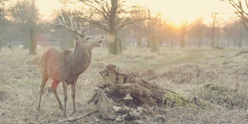 法式家居美学：从色彩哲学到波西米亚灵魂，打造你的生活艺术