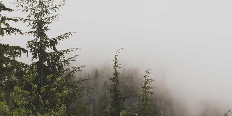 法式生活美学:从晨间护肤到晚间沐浴,将日常仪式升华为艺术