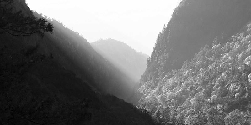 法式生活艺术:从周日大餐看美食、穿搭与情感传承的完美融合