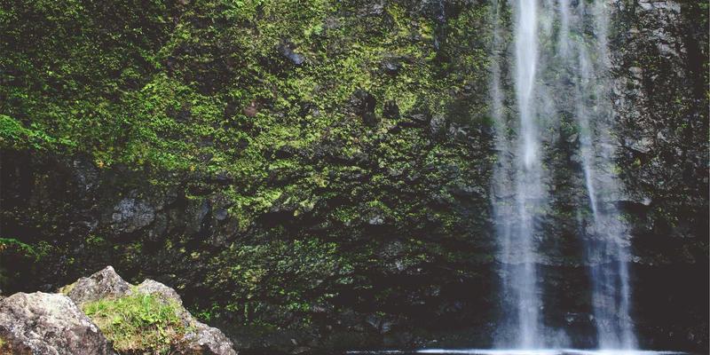 法式育儿哲学：在优雅生活与波西米亚自由间，培养独立自信的孩子