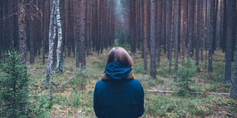 波西米亚风法式甜品艺术：在家庭烘焙中编织绿色时尚生活