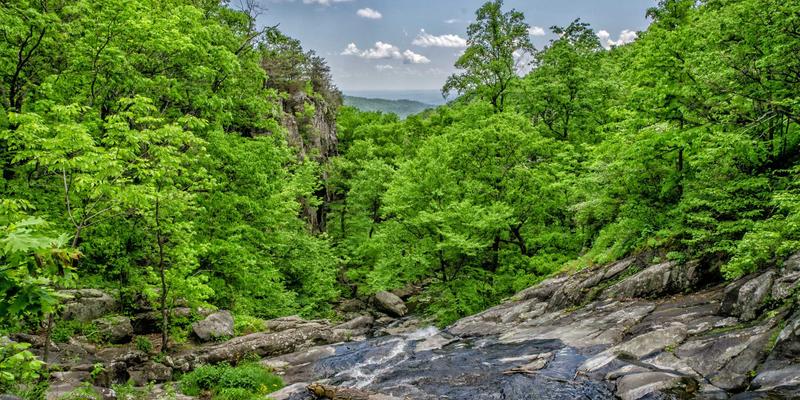 漫步法国市集:一场从舌尖到衣橱的法式艺术与生活美学沉浸之旅